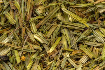 Schachtelhalmkraut getrocknete Heilkräuter, Detail Hintergrund Naturheilkunde