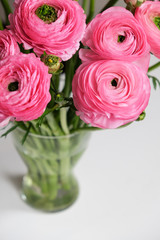 Pink Ranunculus bouquet in transparent glass vase on white table. Close-up. For colorful greeting card, flower delivery, social media. Soft selective focus. Copy space. Vertical.