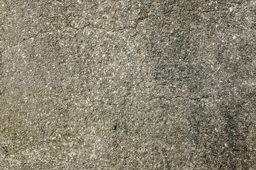 Fototapeta premium mildewed wall background
