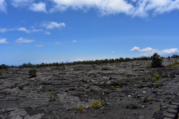 Old Lava field running into the sea sharp cliffs eroded over time from the crash of the surf