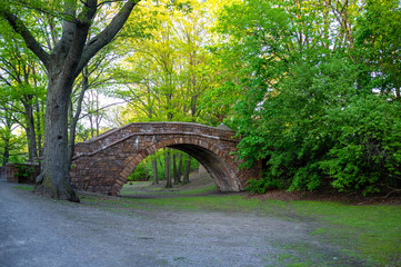 in the park in New England on a spring late afternoon