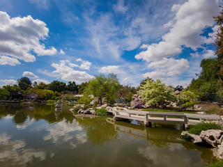 The beautiful Chinese Garden of Huntington Library