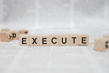 EXECUTE Word Written In Wooden Cube