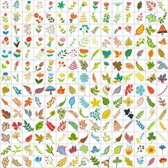 two hundred and ten elements of plants