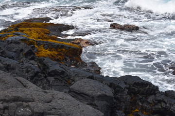 Fototapeta premium Waves Crashing on Rocky Shore in Hawaii white foam as the waves wash over the rocks under a blue sky