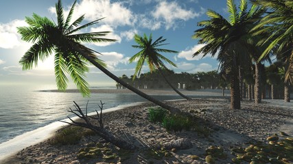 Beautiful sunset over a tropical beach, a wild shore with palm trees at sunset