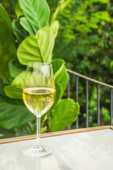 a glass of white wine chardonnay sauvignon blanc riesling wine bar