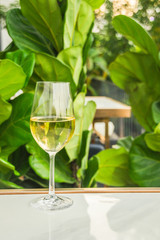 a glass of white wine chardonnay sauvignon blanc riesling wine bar