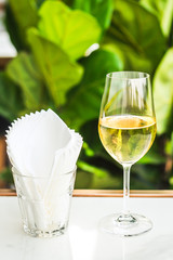 a glass of white wine chardonnay sauvignon blanc riesling wine bar