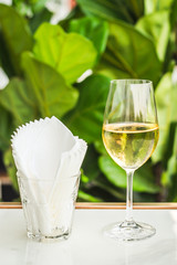 a glass of white wine chardonnay sauvignon blanc riesling wine bar