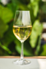a glass of white wine chardonnay sauvignon blanc riesling wine bar