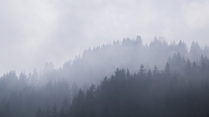 Foggy mountains are a picturesque landscape