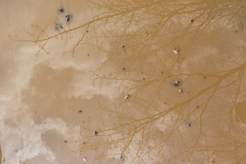 Texture of water with reflection