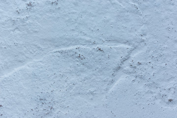 Texture of painted concrete