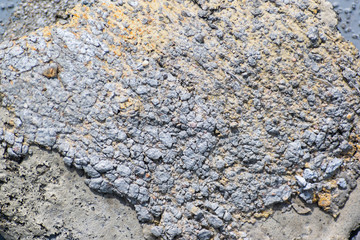 Texture of pavement over concrete