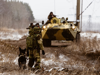 Dog on the battlefield