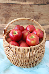  The harvest of ripe apples in a wicker basket