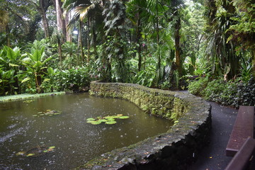 Pond along a stone wall in the middle of a rain storm with rain falling into the water creating ripples