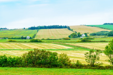 Countryside near French River, PEI