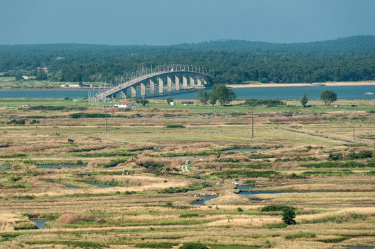 Pont de la Seudre
