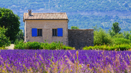 beautiful house in provence