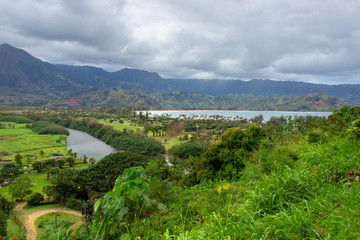 Fototapeta na wymiar A beautiful green landscape of a mountain in hawaii