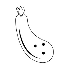 zucchini fresh vegetable in black and white