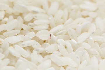 White rice background and texture. Rice grain. View from above. Close-up