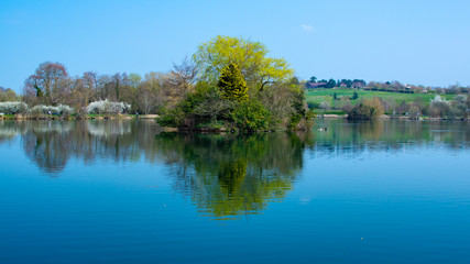 Fototapeta na wymiar Reflection of tree in lake