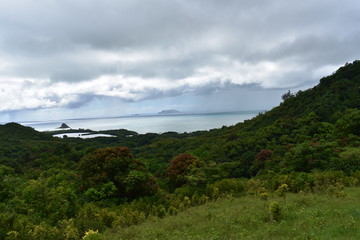Fototapeta na wymiar Mountainside View of Pacific Ocean in hawaii. Clouds rolling in as the jungle disperses into sea