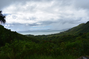 Fototapeta na wymiar Mountainside View of Pacific Ocean in hawaii. Clouds rolling in as the jungle disperses into sea