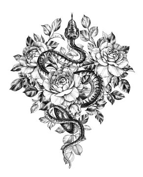 Hand Drawn Monochrome Creeping Python wth Roses