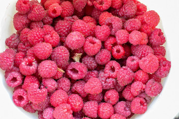 Fresh red raspberry in white bucket with leaves