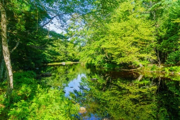 Mersey river, in Kejimkujik National Park