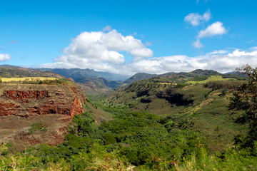 A beautiful green landscape of a mountain in hawaii
