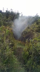 Sulfur fields in Hawaii Gas generated by the volcano breaking through the ground appearing as steam