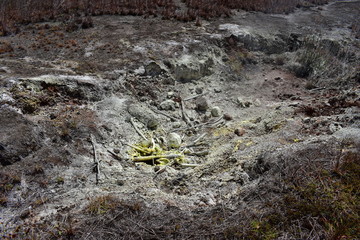 Sulfur fields in Hawaii Gas generated by the volcano breaking through the ground appearing as steam
