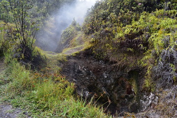 Sulfur fields in Hawaii Gas generated by the volcano breaking through the ground appearing as steam