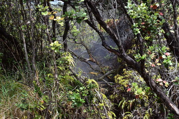 Sulfur fields in Hawaii Gas generated by the volcano breaking through the ground appearing as steam