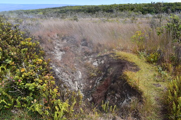 Sulfur fields in Hawaii Gas generated by the volcano breaking through the ground appearing as steam
