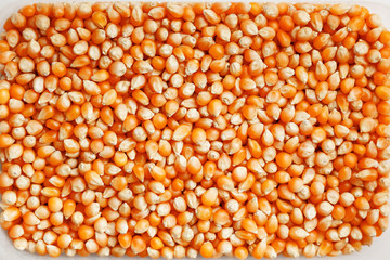 Golden corn seeds, background and texture of popcorn. Before watching a movie top view. Close-up