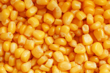 Golden canned corn, as distributed on a plane background and texture of popcorn. Before watching a movie top view. Close-up