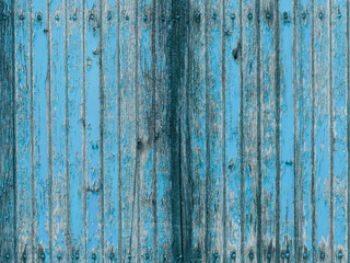 Fototapeta na wymiar Turquoise withered wooden wall with peeling paint v2