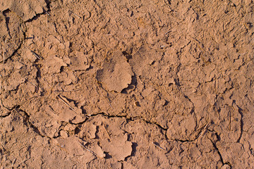 dry cracked earth, old clay texture
