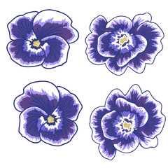 Illustration of a violet flower on a white background. isolated violet object. vector illustration