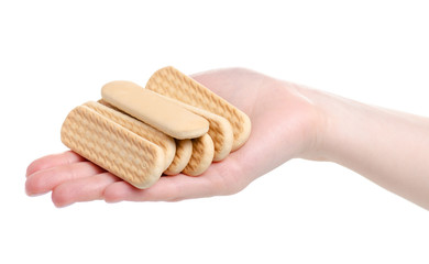Baby cookies sweet in hand on a white background. Isolation.