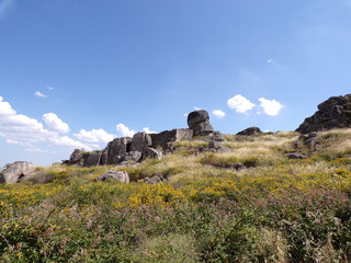 KODAK Digital Still Camera