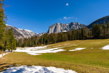 Frühling