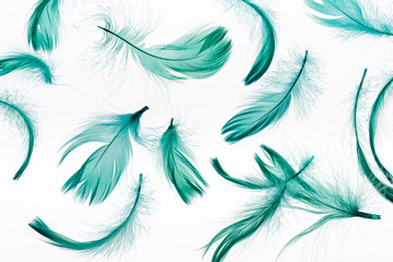 Fototapeta na wymiar seamless background with bright green soft feathers isolated on white