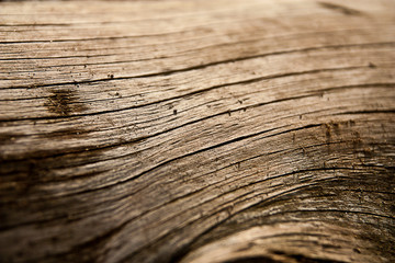 old wood texture background